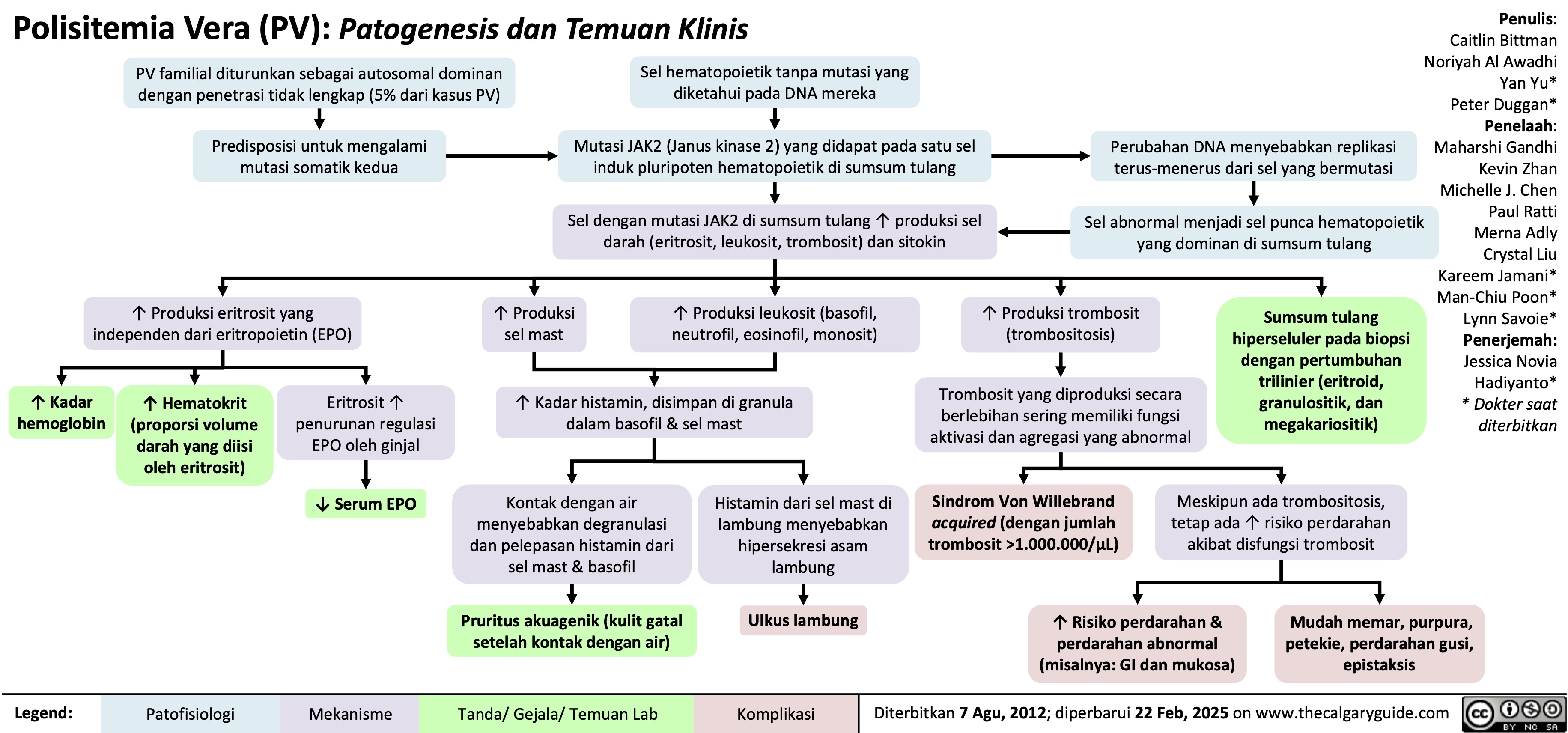 Polisitemia Vera (PV): Patogenesis dan Temuan Klinis