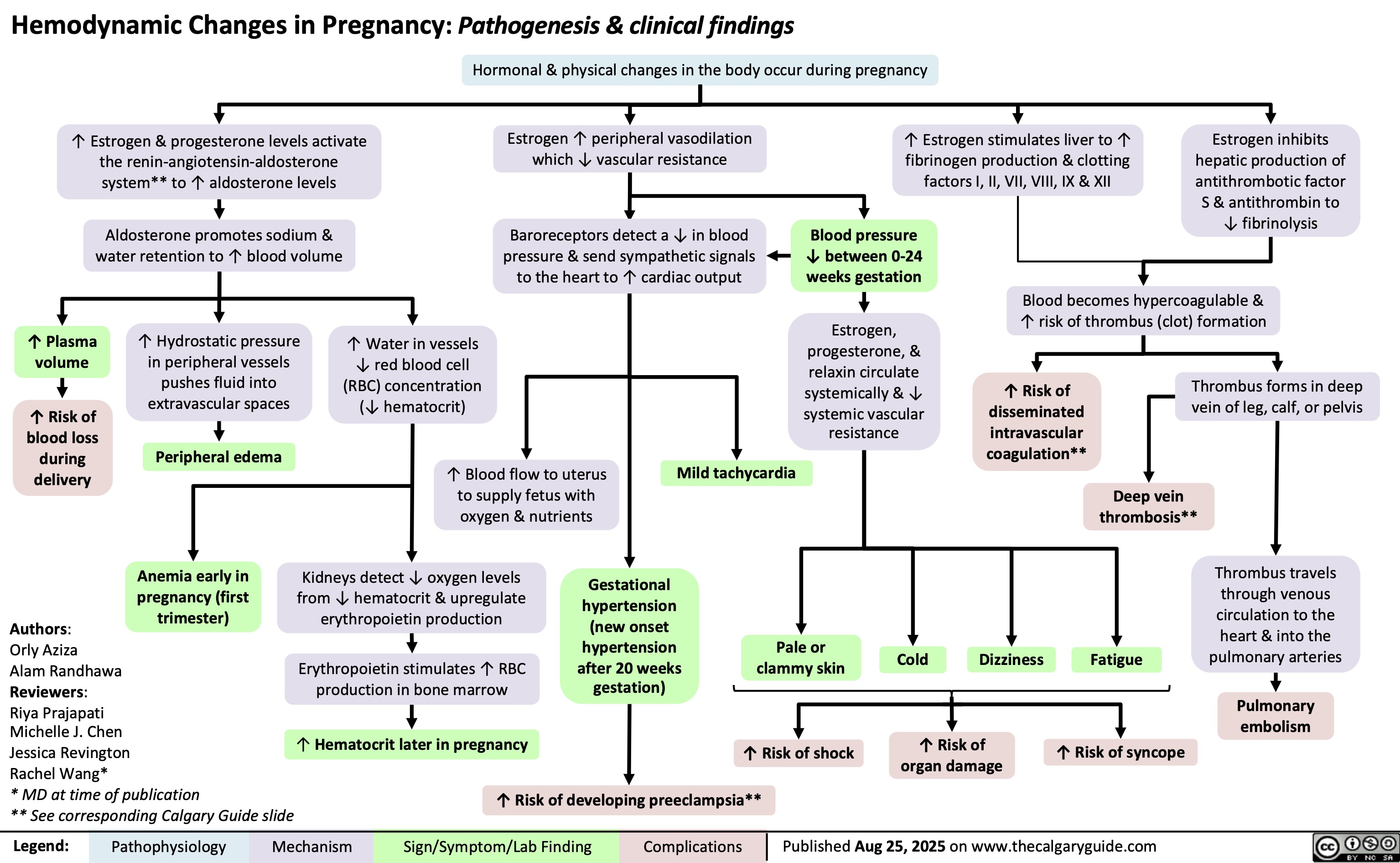 Hemodynamic Changes in Pregnancy: Pathogenesis & clinical findings
Hormonal & physical changes in the body occur during pregnancy
↑ Estrogen & progesterone levels activate
the renin-angiotensin-aldosterone
system** to ↑ aldosterone levels
Aldosterone promotes sodium &
water retention to ↑ blood volume
Estrogen ↑ peripheral vasodilation
which ↓ vascular resistance
Baroreceptors detect a ↓ in blood
pressure & send sympathetic signals
to the heart to ↑ cardiac output
Blood pressure
↓ between 0-24
weeks gestation
Estrogen,
progesterone, &
relaxin circulate
systemically & ↓
systemic vascular
resistance
↑ Estrogen stimulates liver to ↑
fibrinogen production & clotting
factors I, II, VII, VIII, IX & XII
Estrogen inhibits
hepatic production of
antithrombotic factor
S & antithrombin to
↓ fibrinolysis
Blood becomes hypercoagulable &
↑ risk of thrombus (clot) formation
↑ Risk of
disseminated
intravascular
coagulation**
Thrombus forms in deep
vein of leg, calf, or pelvis
↑ Plasma
volume
↑ Hydrostatic pressure
in peripheral vessels
pushes fluid into
extravascular spaces
↑ Water in vessels
↓ red blood cell
(RBC) concentration
(↓ hematocrit)
↑ Risk of
blood loss
during
Peripheral edema
↑ Blood flow to uterus
delivery Mild tachycardia
to supply fetus with
oxygen & nutrients
Anemia early in
pregnancy (first
trimester)
Kidneys detect ↓ oxygen levels
from ↓ hematocrit & upregulate
erythropoietin production
Erythropoietin stimulates ↑ RBC
production in bone marrow
Gestational
hypertension
(new onset
hypertension
after 20 weeks
gestation)
↑ Hematocrit later in pregnancy
Deep vein
thrombosis**
Authors:
Orly Aziza
Alam Randhawa
Reviewers:
Riya Prajapati
Michelle J. Chen
Jessica Revington
Rachel Wang*
* MD at time of publication
** See corresponding Calgary Guide slide
Legend: Pathophysiology Mechanism
↑ Risk of developing preeclampsia**
Sign/Symptom/Lab Finding Complications
Pale or
Cold
Dizziness
clammy skin Fatigue
↑ Risk of shock
↑ Risk of
organ damage
↑ Risk of syncope
Published Aug 25, 2025 on www.thecalgaryguide.com
Thrombus travels
through venous
circulation to the
heart & into the
pulmonary arteries
Pulmonary
embolism
