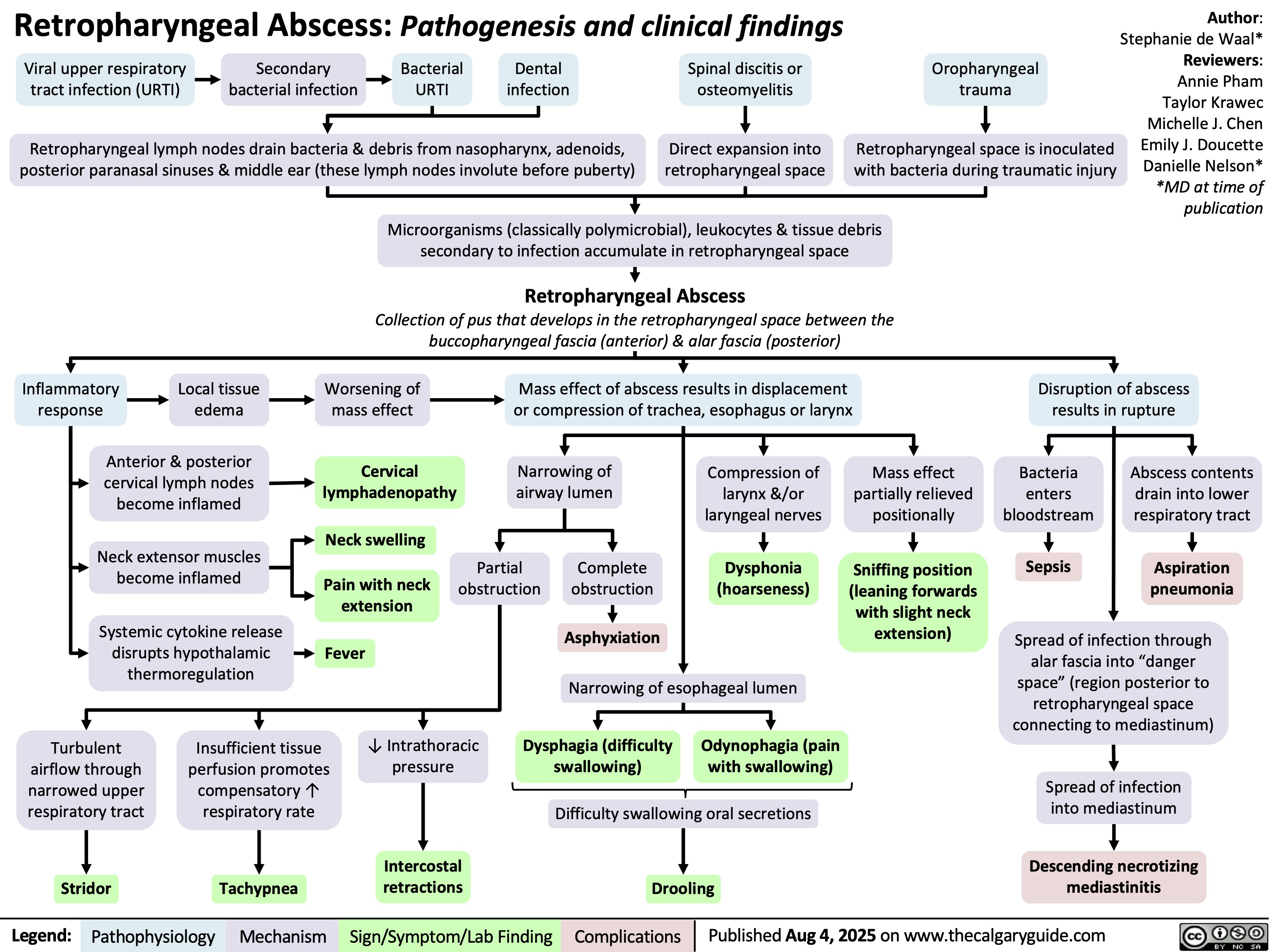 Retropharyngeal Abscess: Pathogenesis and clinical findings
Viral upper respiratory
tract infection (URTI)
Secondary
bacterial infection
Bacterial
URTI
Dental
infection
Spinal discitis or
osteomyelitis
Retropharyngeal lymph nodes drain bacteria & debris from nasopharynx, adenoids,
posterior paranasal sinuses & middle ear (these lymph nodes involute before puberty)
Direct expansion into
retropharyngeal space
Microorganisms (classically polymicrobial), leukocytes & tissue debris
secondary to infection accumulate in retropharyngeal space
Retropharyngeal Abscess
Collection of pus that develops in the retropharyngeal space between the
buccopharyngeal fascia (anterior) & alar fascia (posterior)
Inflammatory
response
Local tissue
edema
Worsening of
mass effect
Mass effect of abscess results in displacement
or compression of trachea, esophagus or larynx
Anterior & posterior
cervical lymph nodes
become inflamed
Cervical
lymphadenopathy
Narrowing of
airway lumen
Compression of
larynx &/or
laryngeal nerves
Neck swelling
Neck extensor muscles
become inflamed
Partial
Complete
Pain with neck
obstruction
obstruction
extension
Dysphonia
(hoarseness)
Systemic cytokine release
disrupts hypothalamic
thermoregulation
Asphyxiation
Fever
Narrowing of esophageal lumen
Turbulent
airflow through
narrowed upper
respiratory tract
Insufficient tissue
perfusion promotes
compensatory ↑
respiratory rate
↓ Intrathoracic
pressure
Dysphagia (difficulty
swallowing)
Odynophagia (pain
with swallowing)
Difficulty swallowing oral secretions
Stridor
Tachypnea
Intercostal
retractions
Drooling
Legend: Oropharyngeal
trauma
Retropharyngeal space is inoculated
with bacteria during traumatic injury
Author:
Stephanie de Waal*
Reviewers:
Annie Pham
Taylor Krawec
Michelle J. Chen
Emily J. Doucette
Danielle Nelson*
*MD at time of
publication
Pathophysiology Mechanism
Sign/Symptom/Lab Finding Complications
Disruption of abscess
results in rupture
Mass effect
partially relieved
positionally
Bacteria
enters
bloodstream
Abscess contents
drain into lower
respiratory tract
Sniffing position
Sepsis
(leaning forwards
Aspiration
pneumonia
with slight neck
extension) Spread of infection through
alar fascia into “danger
space” (region posterior to
retropharyngeal space
connecting to mediastinum)
Spread of infection
into mediastinum
Descending necrotizing
mediastinitis
Published Aug 4, 2025 on www.thecalgaryguide.com