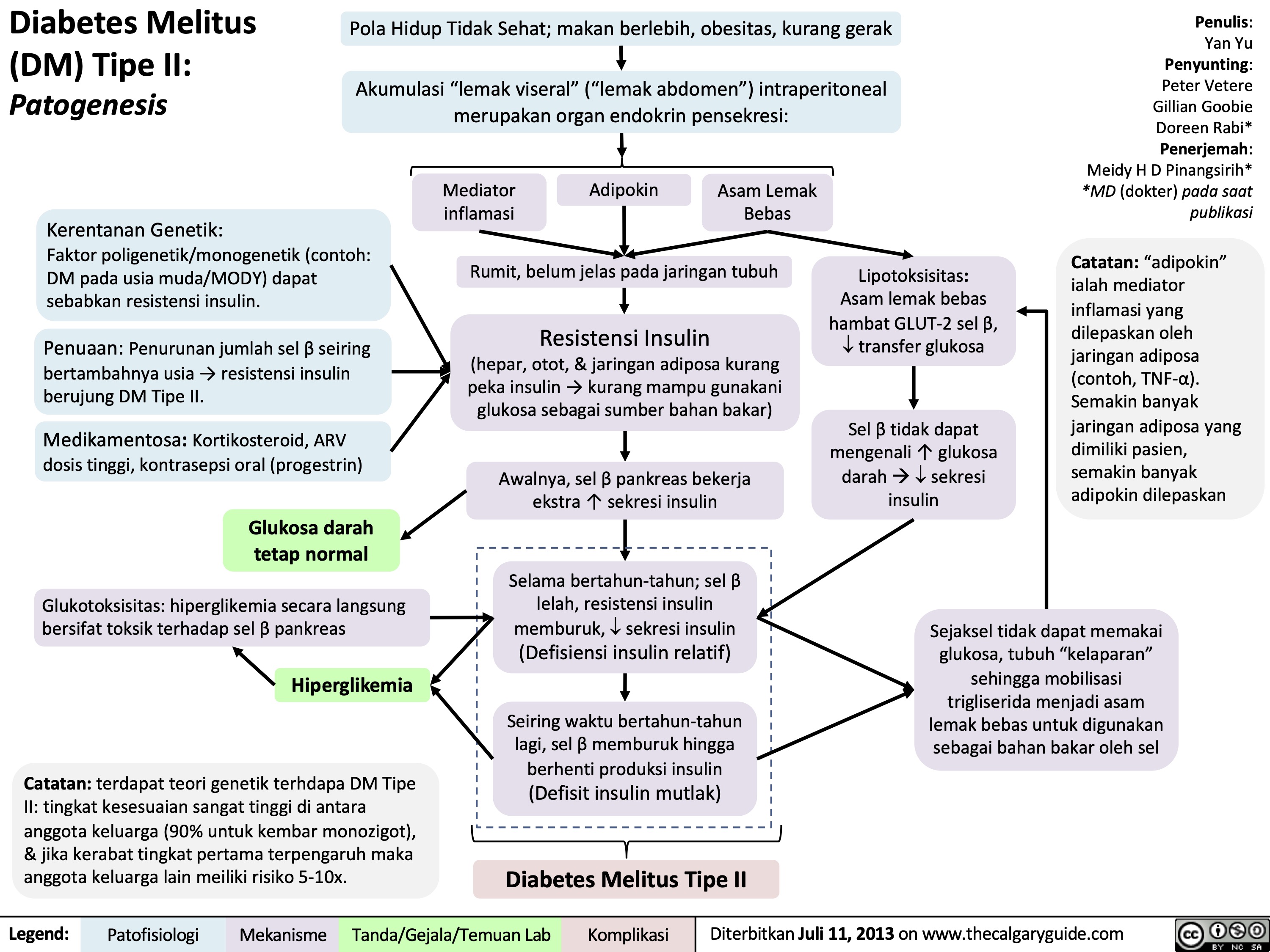 Diabetes Melitus
(DM) Tipe II:
Patogenesis