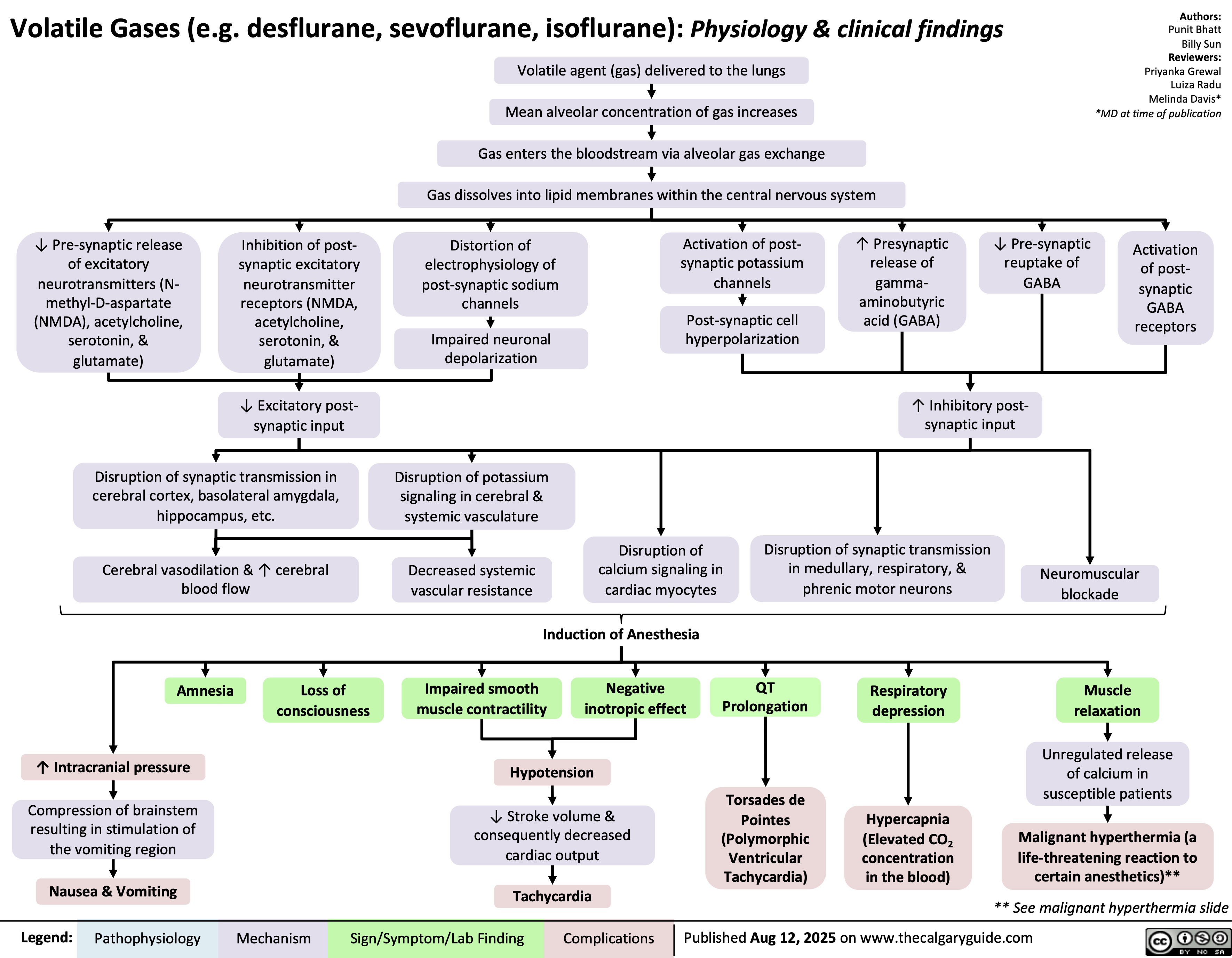 Volatile Gases (e.g. desflurane, sevoflurane, isoflurane): Physiology & clinical findings
Volatile agent (gas) delivered to the lungs
Mean alveolar concentration of gas increases
Gas enters the bloodstream via alveolar gas exchange
Gas dissolves into lipid membranes within the central nervous system
↓ Pre-synaptic release
of excitatory
neurotransmitters (N-
methyl-D-aspartate
(NMDA), acetylcholine,
serotonin, &
glutamate)
Inhibition of post-
synaptic excitatory
neurotransmitter
receptors (NMDA,
acetylcholine,
serotonin, &
glutamate)
Distortion of
electrophysiology of
post-synaptic sodium
channels
Activation of post-
synaptic potassium
channels
↑ Presynaptic
release of
gamma-
aminobutyric
Post-synaptic cell
acid (GABA)
hyperpolarization
Impaired neuronal
depolarization
↓ Excitatory post-
synaptic input
↑ Inhibitory post-
synaptic input
Disruption of synaptic transmission in
cerebral cortex, basolateral amygdala,
hippocampus, etc.
Cerebral vasodilation & ↑ cerebral
blood flow
Authors:
Punit Bhatt
Billy Sun
Reviewers:
Priyanka Grewal
Luiza Radu
Melinda Davis*
*MD at time of publication
↓ Pre-synaptic
reuptake of
GABA
Activation
of post-
synaptic
GABA
receptors
Amnesia Loss of
consciousness
↑ Intracranial pressure
Compression of brainstem
resulting in stimulation of
the vomiting region
Nausea & Vomiting
Legend: Disruption of potassium
signaling in cerebral &
systemic vasculature
Decreased systemic
vascular resistance
Disruption of
calcium signaling in
cardiac myocytes
Induction of Anesthesia
Impaired smooth
muscle contractility
Negative
inotropic effect
Hypotension
↓ Stroke volume &
consequently decreased
cardiac output
Tachycardia
Pathophysiology Mechanism
Sign/Symptom/Lab Finding Complications
Disruption of synaptic transmission
in medullary, respiratory, &
phrenic motor neurons
Neuromuscular
blockade
QT
Prolongation
Torsades de
Pointes
(Polymorphic
Ventricular
Tachycardia)
Respiratory
depression
Hypercapnia
(Elevated CO2
concentration
in the blood)
Muscle
relaxation
Unregulated release
of calcium in
susceptible patients
Malignant hyperthermia (a
life-threatening reaction to
certain anesthetics)**
** See malignant hyperthermia slide
Published Aug 12, 2025 on www.thecalgaryguide.com