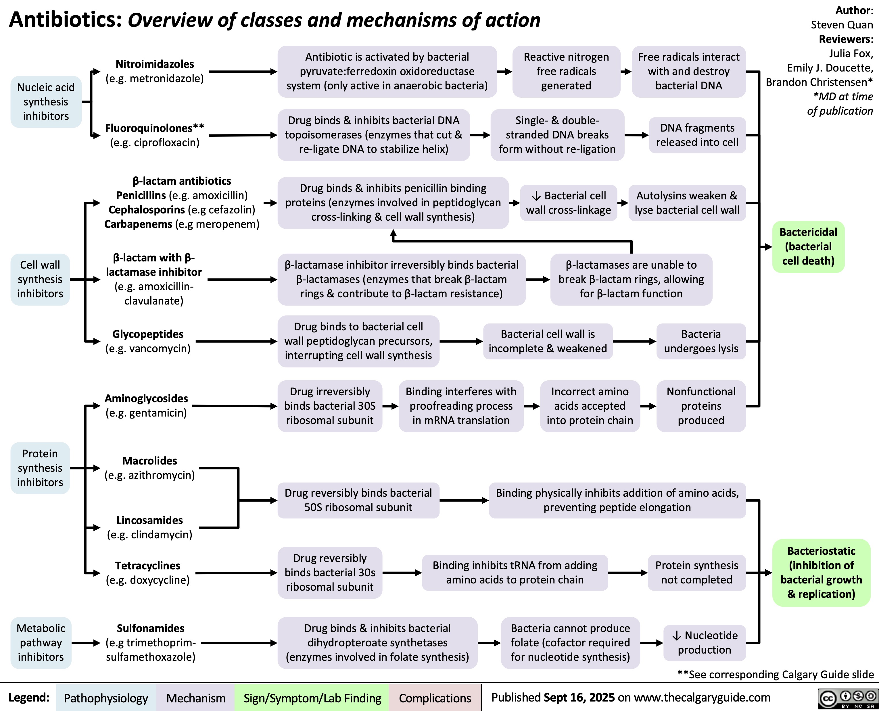 Antibiotics: Overview of classes and mechanisms of action
Nucleic acid
synthesis
inhibitors
Cell wall
synthesis
inhibitors
Protein
synthesis
inhibitors
Nitroimidazoles
(e.g. metronidazole)
Antibiotic is activated by bacterial
pyruvate:ferredoxin oxidoreductase
system (only active in anaerobic bacteria)
Fluoroquinolones**
(e.g. ciprofloxacin)
Drug binds & inhibits bacterial DNA
topoisomerases (enzymes that cut &
re-ligate DNA to stabilize helix)
β-lactam antibiotics
Penicillins (e.g. amoxicillin)
Cephalosporins (e.g cefazolin)
Carbapenems (e.g meropenem)
Drug binds & inhibits penicillin binding
proteins (enzymes involved in peptidoglycan
cross-linking & cell wall synthesis)
β-lactam with β-
lactamase inhibitor
(e.g. amoxicillin-
clavulanate)
β-lactamase inhibitor irreversibly binds bacterial
β-lactamases (enzymes that break β-lactam
rings & contribute to β-lactam resistance)
Glycopeptides
(e.g. vancomycin)
Drug binds to bacterial cell
wall peptidoglycan precursors,
interrupting cell wall synthesis
Aminoglycosides
(e.g. gentamicin)
Drug irreversibly
binds bacterial 30S
ribosomal subunit
Binding interferes with
proofreading process
in mRNA translation
Macrolides
(e.g. azithromycin)
Lincosamides
(e.g. clindamycin)
Tetracyclines
(e.g. doxycycline)
Sulfonamides
(e.g trimethoprim-
sulfamethoxazole)
Reactive nitrogen
free radicals
generated
Single- & double-
stranded DNA breaks
form without re-ligation
↓ Bacterial cell
wall cross-linkage
Free radicals interact
with and destroy
bacterial DNA
DNA fragments
released into cell
Autolysins weaken &
lyse bacterial cell wall
Author:
Steven Quan
Reviewers:
Julia Fox,
Emily J. Doucette,
Brandon Christensen*
*MD at time
of publication
Bactericidal
(bacterial
cell death)
β-lactamases are unable to
break β-lactam rings, allowing
for β-lactam function
Bacterial cell wall is
incomplete & weakened
Incorrect amino
acids accepted
into protein chain
Bacteria
undergoes lysis
Nonfunctional
proteins
produced
Metabolic
pathway
inhibitors
Legend: Pathophysiology Mechanism
Sign/Symptom/Lab Finding Drug reversibly binds bacterial
50S ribosomal subunit
Drug reversibly
binds bacterial 30s
ribosomal subunit
Drug binds & inhibits bacterial
dihydropteroate synthetases
(enzymes involved in folate synthesis)
Complications
Binding physically inhibits addition of amino acids,
preventing peptide elongation
Binding inhibits tRNA from adding
amino acids to protein chain
Bacteria cannot produce
folate (cofactor required
for nucleotide synthesis)
Protein synthesis
not completed
↓ Nucleotide
production
Bacteriostatic
(inhibition of
bacterial growth
& replication)
**See corresponding Calgary Guide slide
Published Sept 16, 2025 on www.thecalgaryguide.com