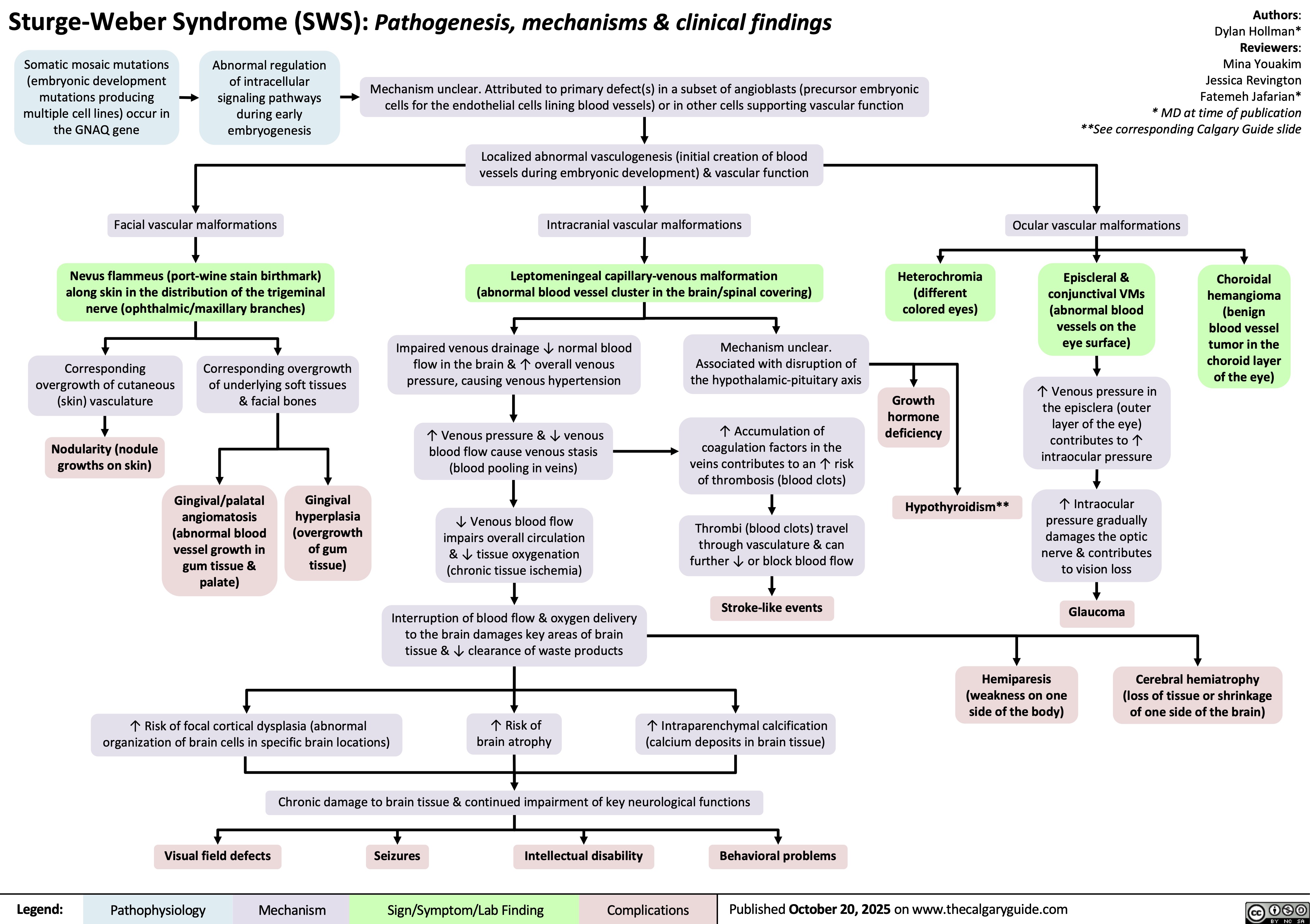 Sturge-Weber Syndrome (SWS): Pathogenesis, mechanisms & clinical findings
Somatic mosaic mutations
(embryonic development
mutations producing
multiple cell lines) occur in
the GNAQ gene
Abnormal regulation
of intracellular
signaling pathways
during early
embryogenesis
Mechanism unclear. Attributed to primary defect(s) in a subset of angioblasts (precursor embryonic
cells for the endothelial cells lining blood vessels) or in other cells supporting vascular function
Authors:
Dylan Hollman*
Reviewers:
Mina Youakim
Jessica Revington
Fatemeh Jafarian*
* MD at time of publication
**See corresponding Calgary Guide slide
Localized abnormal vasculogenesis (initial creation of blood
vessels during embryonic development) & vascular function
Facial vascular malformations Intracranial vascular malformations Ocular vascular malformations
Nevus flammeus (port-wine stain birthmark)
along skin in the distribution of the trigeminal
nerve (ophthalmic/maxillary branches)
Leptomeningeal capillary-venous malformation
(abnormal blood vessel cluster in the brain/spinal covering)
Heterochromia
(different
colored eyes)
Episcleral &
conjunctival VMs
(abnormal blood
vessels on the
eye surface)
Corresponding
overgrowth of cutaneous
(skin) vasculature
Corresponding overgrowth
of underlying soft tissues
& facial bones
Impaired venous drainage ↓ normal blood
flow in the brain & ↑ overall venous
pressure, causing venous hypertension
Mechanism unclear.
Associated with disruption of
the hypothalamic-pituitary axis
Choroidal
hemangioma
(benign
blood vessel
tumor in the
choroid layer
of the eye)
Growth
hormone
deficiency
Nodularity (nodule
growths on skin)
↑ Venous pressure & ↓ venous
blood flow cause venous stasis
(blood pooling in veins)
↑ Accumulation of
coagulation factors in the
veins contributes to an ↑ risk
of thrombosis (blood clots)
↑ Venous pressure in
the episclera (outer
layer of the eye)
contributes to ↑
intraocular pressure
Hypothyroidism**
↓ Venous blood flow
impairs overall circulation
& ↓ tissue oxygenation
(chronic tissue ischemia)
Thrombi (blood clots) travel
through vasculature & can
further ↓ or block blood flow
↑ Intraocular
pressure gradually
damages the optic
nerve & contributes
to vision loss
Stroke-like events
Glaucoma
Interruption of blood flow & oxygen delivery
to the brain damages key areas of brain
tissue & ↓ clearance of waste products
Hemiparesis
(weakness on one
side of the body)
Cerebral hemiatrophy
(loss of tissue or shrinkage
of one side of the brain)
↑ Risk of focal cortical dysplasia (abnormal
organization of brain cells in specific brain locations)
↑ Risk of
brain atrophy
↑ Intraparenchymal calcification
(calcium deposits in brain tissue)
Chronic damage to brain tissue & continued impairment of key neurological functions
Visual field defects
Seizures
Intellectual disability Behavioral problems
Pathophysiology Mechanism
Sign/Symptom/Lab Finding Complications
Published October 20, 2025 on www.thecalgaryguide.com
Gingival/palatal
angiomatosis
(abnormal blood
vessel growth in
gum tissue &
palate)
Gingival
hyperplasia
(overgrowth
of gum
tissue)
Legend: 
Sturge-Weber syndrome (SWS): Pathogenesis and clinical findings
Somatic mosaic mutations in the GNAQ gene
Authors:
Dylan Hollman*
Reviewers:
Mina Youakim
Fatemeh Jafarian*
* MD at time of publication
Abnormal regulation of intracellular signalling pathway in early embryogenesis
Unclear mechanism → Primary defect in subset of angioblasts or other vascular supporting cells
Facial vascular
malformations (VMs)
Localized abnormal vasculogenesis & vascular function
Ocular vascular
malformations (VMs)
Port-wine stain
(flat, red or purple birthmark caused by
dilated blood vessels) → commonly affects
trigeminal nerve (ophthalmic/maxillary)
Intracranial vascular
malformations (VMs)
Choroidal
Heterochromi
Episcleral &
hemangioma
a
conjunctival VMs
(benign tumor
(different
(abnormal blood
Leptomeningeal
of blood vessels
colored eyes)
vessels on the
capillary-venous
in the choroid
eye's surface)
Overgrowth of
Overgrowth of
malformation
layer of the eye)
underlying soft
cutaneous
(abnormal blood
tissue & bone
vasculature
vessel cluster in the
↑ episcleral
brain/spinal
(eye’s outer
Nodularity
Gingival/palatal
covering)
layer) venous
angiomatosis
pressure
(abnormal blood
Gingival
Glaucoma
vessel growth in
hyperplasia
Venous hypertension
gum tissue &
(overgrowth of gum
palate)
tissue)
Chronic tissue ischemia
Thrombosis
Hemiparesis
(weakness on one
side of body)
Venous
stasis
Unclear mechanism
→ disruption of
hypothalamic-pituitary axis
Focal cortical dysplasia
(abnormal brain tissue in
specific areas)
Intraparenchymal
calcification (calcium
deposits in brain tissue)
Stroke-like events
Hemiatrophy
(loss of tissue or
shrinkage on one
side of body) Hypothyroidism Growth hormone
deficiency
Seizures
Visual field defects
Intellectual disability Behavioral problems
Legend: Pathophysiology Mechanism
Sign/Symptom/Lab Finding Complications
Published MONTH, DAY, YEAR on www.thecalgaryguide.com
Brain
atrophy