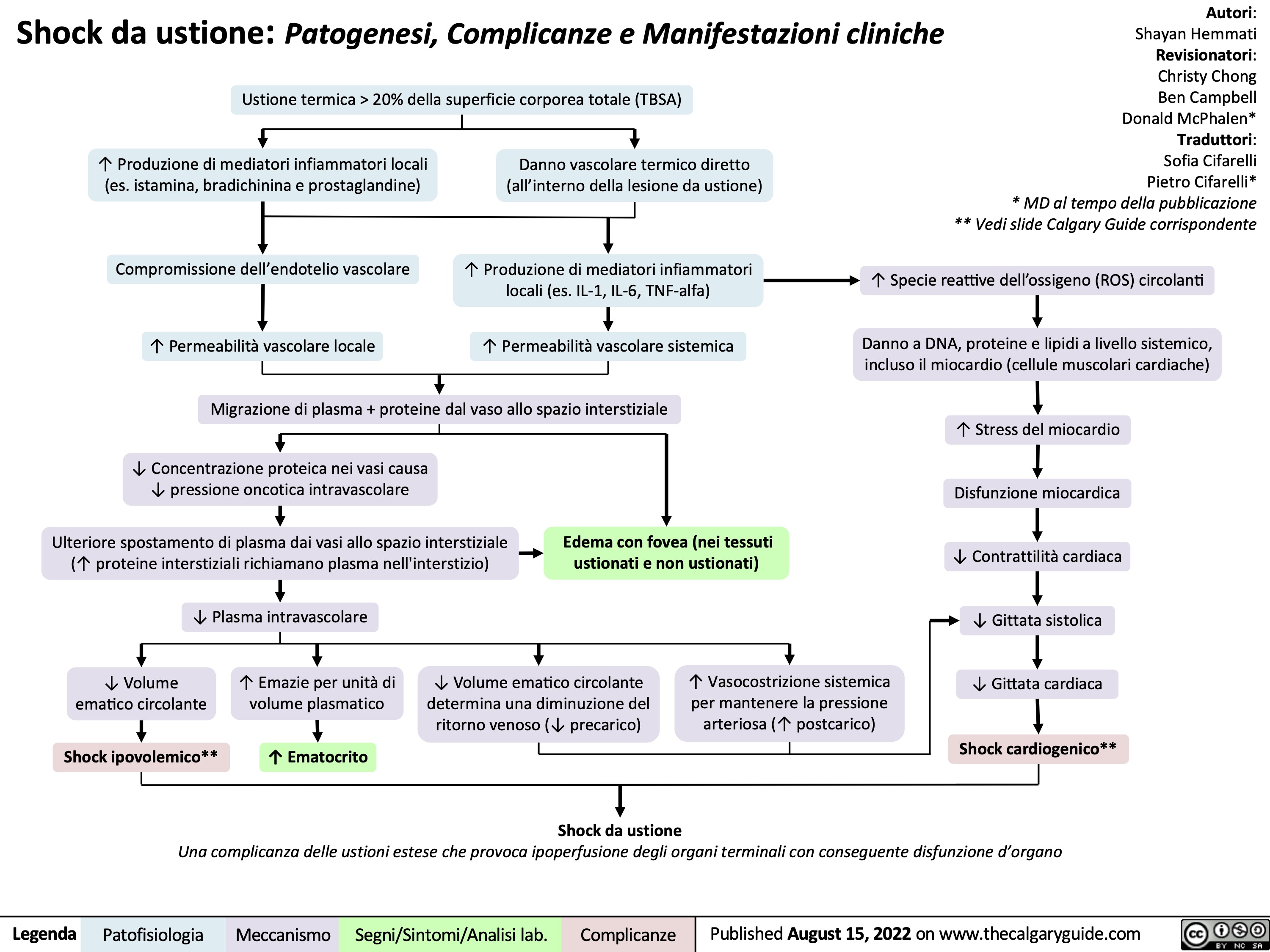 Shock da ustione: Patogenesi, Complicanze e Manifestazioni cliniche
