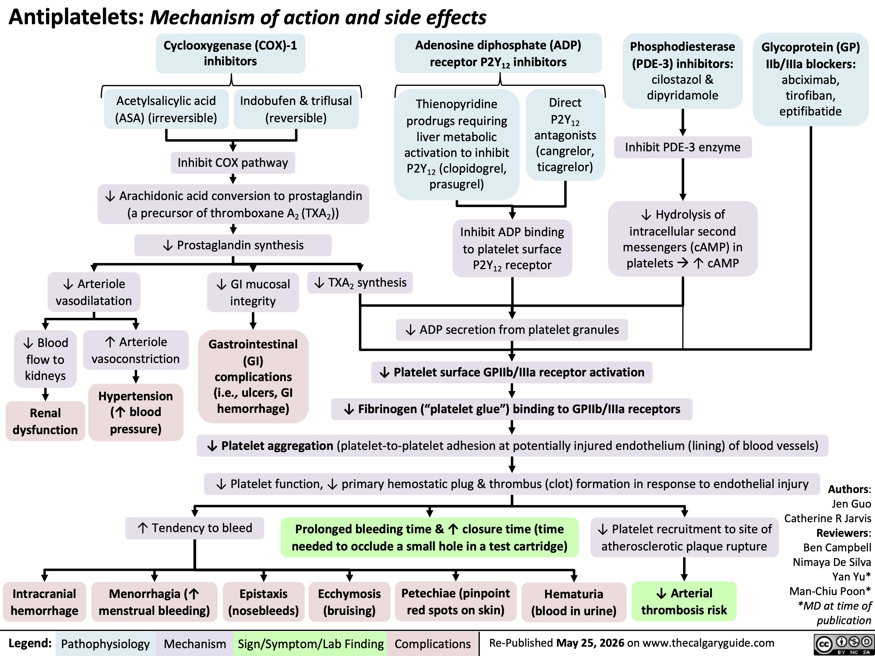 Antiplatelets: Mechanism of action and side effects
Cyclooxygenase (COX)-1
inhibitors
Adenosine diphosphate (ADP)
receptor P2Y12 inhibitors
Phosphodiesterase
(PDE-3) inhibitors:
cilostazol &
dipyridamole
Acetylsalicylic acid
(ASA) (irreversible)
Indobufen & triflusal
(reversible)
Glycoprotein (GP)
IIb/IIIa blockers:
abciximab,
tirofiban,
eptifibatide
Inhibit COX pathway
Thienopyridine
prodrugs requiring
liver metabolic
activation to inhibit
P2Y12 (clopidogrel,
prasugrel)
Direct
P2Y12
antagonists
(cangrelor,
ticagrelor)
Inhibit PDE-3 enzyme
↓ Arachidonic acid conversion to prostaglandin
(a precursor of thromboxane A2 (TXA2))
↓ Prostaglandin synthesis
Inhibit ADP binding
to platelet surface
P2Y12 receptor
↓ Hydrolysis of
intracellular second
messengers (cAMP) in
platelets à ↑ cAMP
↓ Arteriole
vasodilatation
↓ GI mucosal
integrity
↓ TXA2 synthesis
↓ ADP secretion from platelet granules
↓ Blood
flow to
kidneys
↑ Arteriole
vasoconstriction
Renal
dysfunction
Hypertension
(↑ blood
pressure)
Gastrointestinal
(GI)
complications
(i.e., ulcers, GI
hemorrhage)
↓ Platelet surface GPIIb/IIIa receptor activation
↓ Fibrinogen (“platelet glue”) binding to GPIIb/IIIa receptors
↓ Platelet aggregation (platelet-to-platelet adhesion at potentially injured endothelium (lining) of blood vessels)
↓ Platelet function, ↓ primary hemostatic plug & thrombus (clot) formation in response to endothelial injury
↑ Tendency to bleed
Prolonged bleeding time & ↑ closure time (time
needed to occlude a small hole in a test cartridge)
↓ Platelet recruitment to site of
atherosclerotic plaque rupture
Menorrhagia (↑
menstrual bleeding)
Epistaxis
(nosebleeds)
Ecchymosis
(bruising)
Petechiae (pinpoint
red spots on skin)
Hematuria
(blood in urine)
↓ Arterial
thrombosis risk
Authors:
Jen Guo
Catherine R Jarvis
Reviewers:
Ben Campbell
Nimaya De Silva
Yan Yu*
Man-Chiu Poon*
*MD at time of
publication
Re-Published May 25, 2026 on www.thecalgaryguide.com
Intracranial
hemorrhage
Legend: Pathophysiology Mechanism
Sign/Symptom/Lab Finding Complications