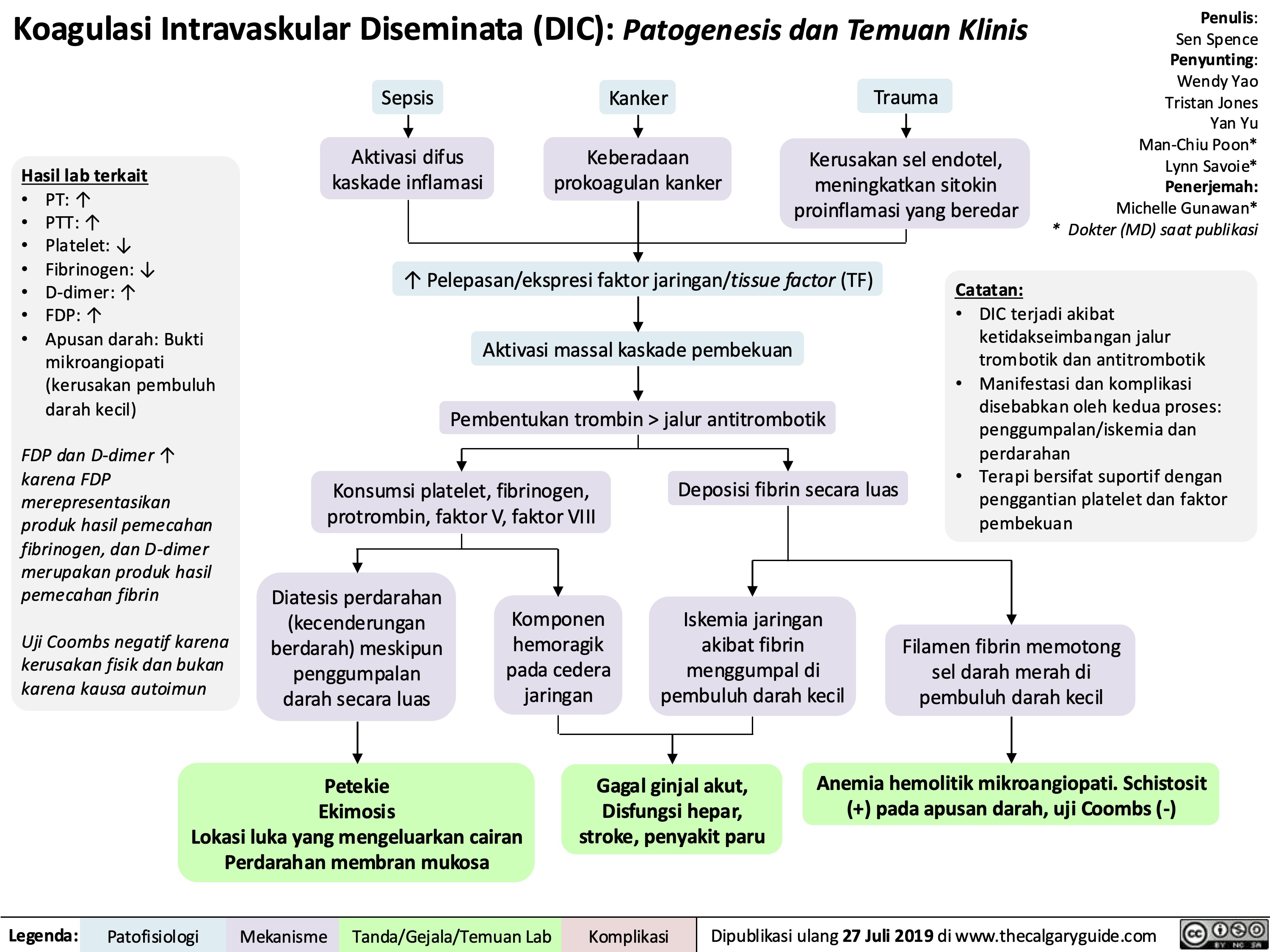 Koagulasi Intravaskular Diseminata (DIC): Patogenesis dan Temuan Klinis