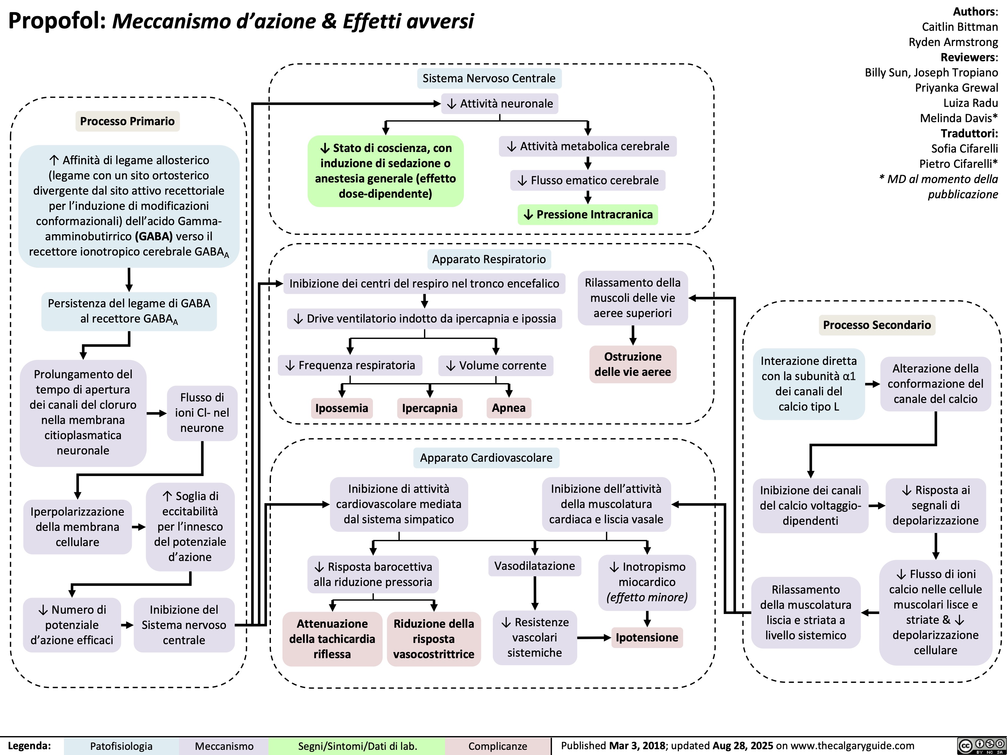 Propofol: Meccanismo d’azione & Effetti avversi