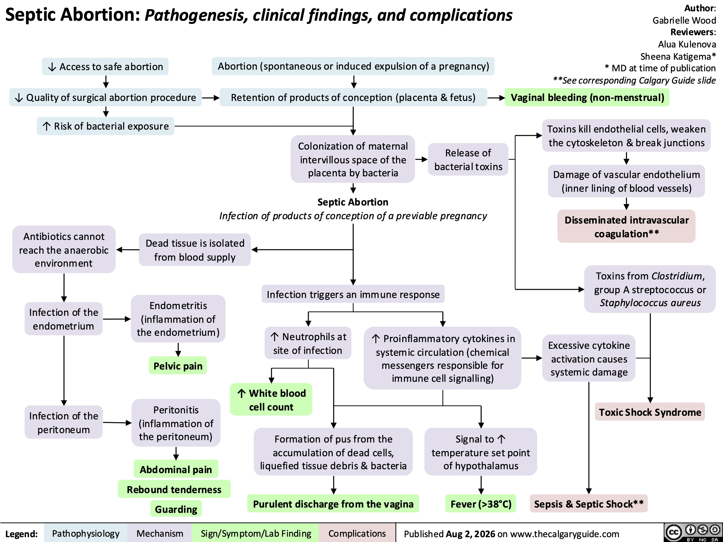 Septic Abortion: Pathogenesis, clinical findings, and complications
↓ Access to safe abortion
↓ Quality of surgical abortion procedure
↑ Risk of bacterial exposure
Abortion (spontaneous or induced expulsion of a pregnancy)
Retention of products of conception (placenta & fetus)
Colonization of maternal
intervillous space of the
placenta by bacteria
Release of
bacterial toxins
Septic Abortion
Infection of products of conception of a previable pregnancy
Antibiotics cannot
reach the anaerobic
environment
Infection of the
endometrium
Infection of the
peritoneum
Dead tissue is isolated
from blood supply
Endometritis
(inflammation of
the endometrium)
Pelvic pain
Peritonitis
(inflammation of
the peritoneum)
Abdominal pain
Rebound tenderness
Guarding
Infection triggers an immune response
↑ Neutrophils at
site of infection
↑ Proinflammatory cytokines in
systemic circulation (chemical
messengers responsible for
immune cell signalling)
Author:
Gabrielle Wood
Reviewers:
Alua Kulenova
Sheena Katigema*
* MD at time of publication
**See corresponding Calgary Guide slide
Vaginal bleeding (non-menstrual)
Toxins kill endothelial cells, weaken
the cytoskeleton & break junctions
Damage of vascular endothelium
(inner lining of blood vessels)
Disseminated intravascular
coagulation**
Toxins from Clostridium,
group A streptococcus or
Staphylococcus aureus
Excessive cytokine
activation causes
systemic damage
↑ White blood
cell count
Formation of pus from the
accumulation of dead cells,
liquefied tissue debris & bacteria
Purulent discharge from the vagina
Toxic Shock Syndrome
Signal to ↑
temperature set point
of hypothalamus
Fever (>38°C)
Sepsis & Septic Shock**
Legend:
Pathophysiology Mechanism
Sign/Symptom/Lab Finding Complications
Published Aug 2, 2026 on www.thecalgaryguide.com
Creative Commons
License